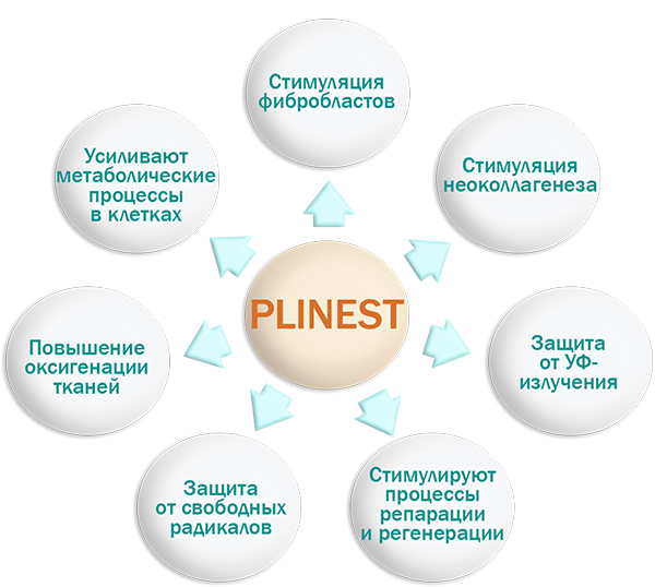 Plinest